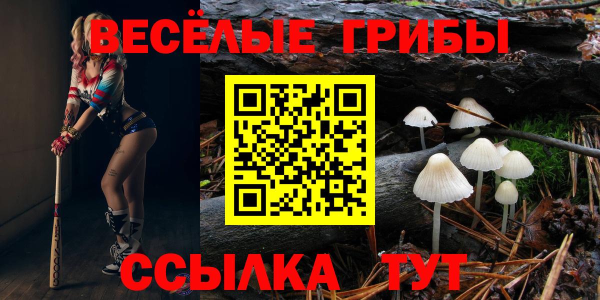 Псилоцибиновые грибы ЛСД Белово